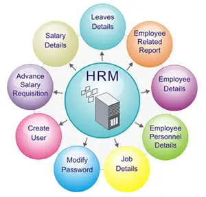 Hire ASP.Net, C#.Net Developer, 160 Working hours, Monthly $599, Hourly $3 USD, Readymade Source Code, Full Source Code 100%, Own Your Source Code, Readymade Source Code 100% Demo. ERP, CRM, HRMS, Payroll, School ERP, Hotel, Food Delivery. Grocery Delivery, MLM Software, Travel ERP, Ecommerce, Hospital, Restaurant Software, 15+ Years, 100+ Projects